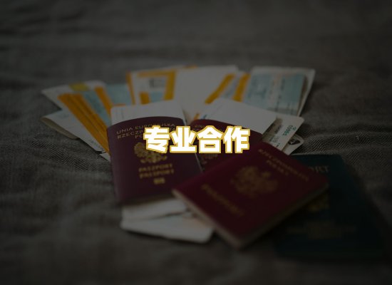 专业合作